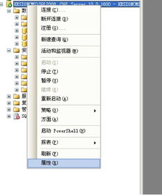在線網(wǎng)校v5教程 程序數(shù)據(jù)庫安裝說明 手工還原數(shù)據(jù)庫圖文說明 安裝方法2