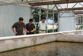 北京水產(chǎn)技術(shù)推廣站開(kāi)展循環(huán)水養(yǎng)殖試驗(yàn)與水質(zhì)改良劑研發(fā)